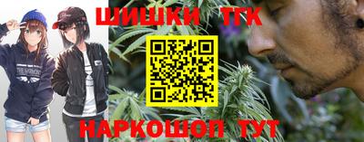 индика Кулебаки